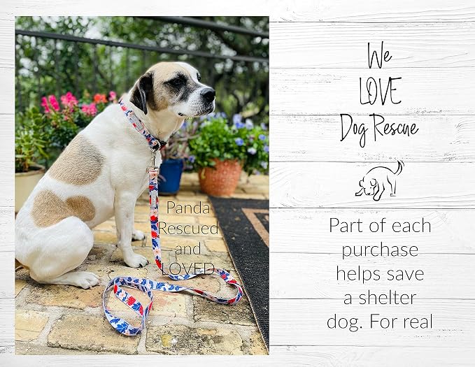 Lucky Love Dog Martingale Collar for Medium Dogs Cute – Sweet Berry, Medium