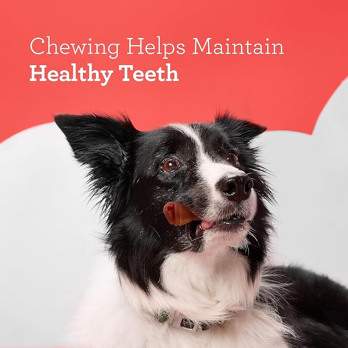 DreamBone Mini Bones Beef Rawhide-Free Dog Treats With Real Protein, 24 Ct | Daily Chew, Digests Safely and Completely, Made With Real Chicken, Veggies & Beef, For Adult Dogs