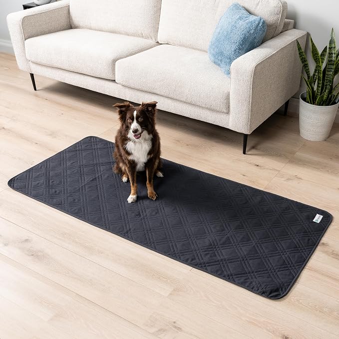 PetAmi Waterproof Couch Cover for Dog Non-Slip Bed Sofa Blanket, 30x70 Gray | Leakproof Furniture Protector for Pet Cat, Machine Washable Pee Proof Mat for Chair Car Seat, Durable & Anti Slip Backing