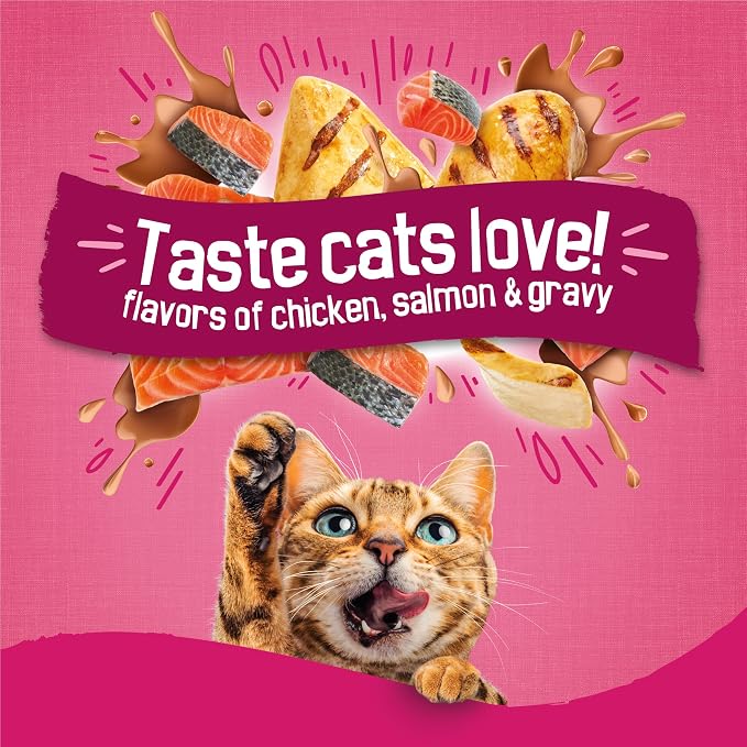 Purina Friskies Gravy Swirlers with Flavors of Chicken, Salmon and Gravy Dry Cat Food - 16 Lb. Bag