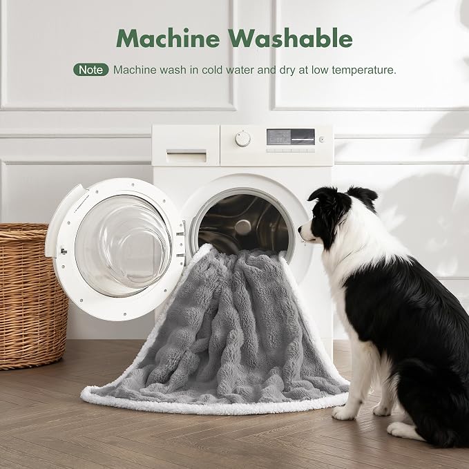 Soft Cozy Waterproof Dog Blanket for Couch - Room Decor Medium Pet Blanket for Furniture Protector, Washable Calming Dog Crate Blankets for Indoors & Outdoors, Grey, 40"x50"