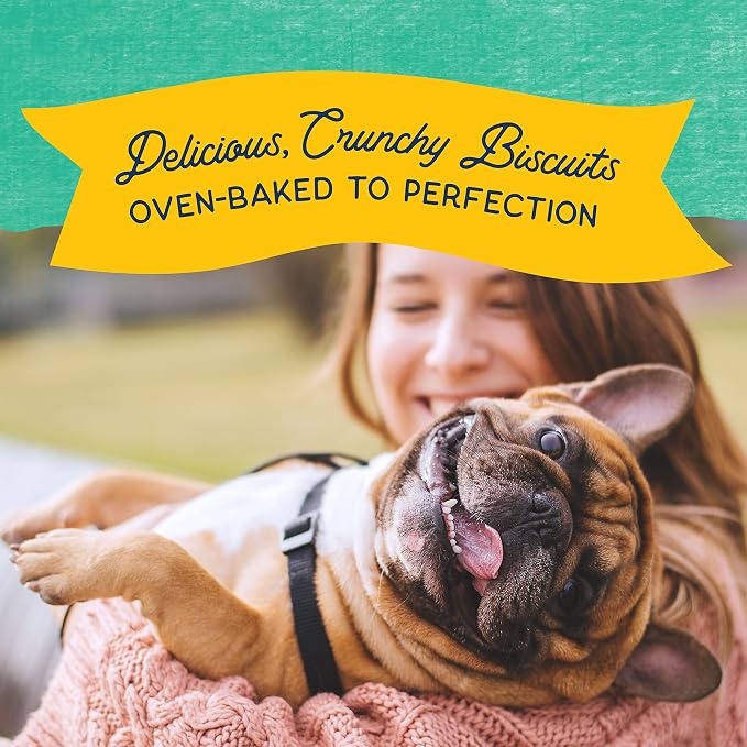 Natural Balance Rewards, Crunchy Biscuits, Chicken, 14 oz | Grain-Free Dog Treats for Adult Dogs, Limited-Ingredient Recipe, Made with Real Ingredients, Great for Training