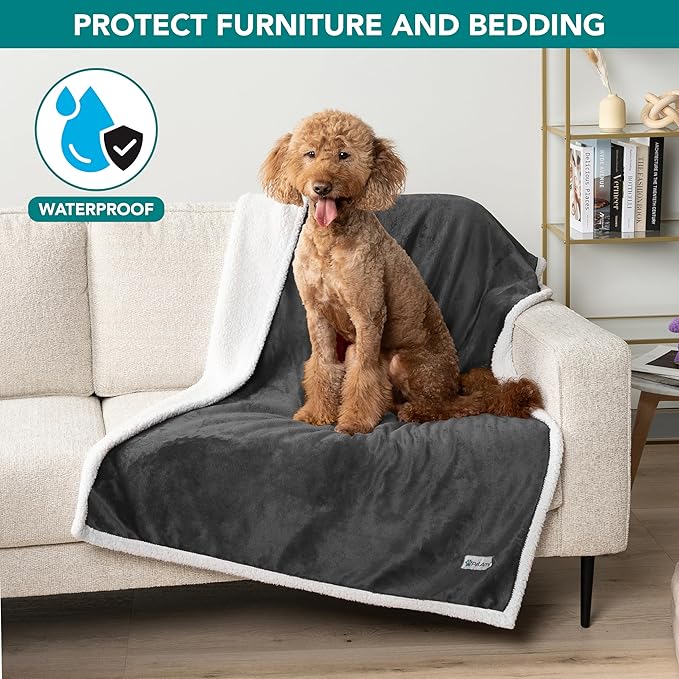 PetAmi Waterproof Dog Blanket for Small Dog Puppy Cat, 29x40, Charcoal | 460 GSM Sherpa Fleece Reversible, Pee Proof Pet Blanket, Furniture Protector Cover for Couch Sofa Kennel, Washable