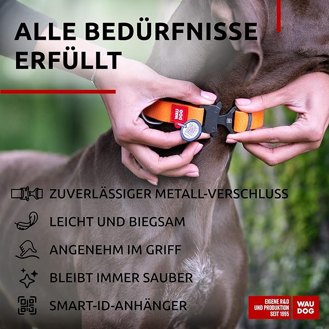 WAUDOG Waterproof Dog Collar Airtag Holder QR Tag Small Medium Large Dogs | Water and Dirt Resistant, Quick Dry QR Pet Tag Adjustable Durable Comfort for Male and Female Dogs Outdoor Walking Training