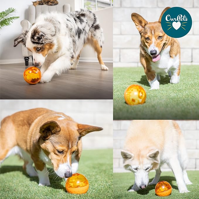 OurPets IQ Treat Ball Food Dispensing Dog Toy, Interactive Puzzle, Assorted | Food Dispensing Design