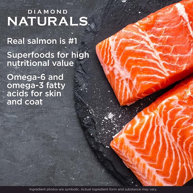 Diamond Naturals Skin & Coat Puppy, Adult & Senior Dry Dog Food Salmon 15lb | Real Salmon & Potato | Omega Fatty Acids Help Support Healthy Skin & Shiny Coat | Guaranteed Probiotics & Superfoods