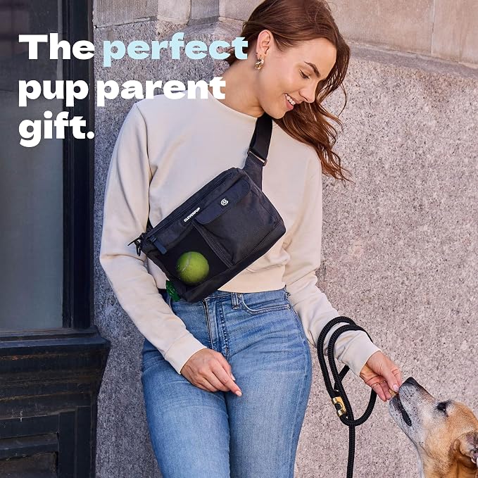 Cleverpup Walk & Train 2-in-1 Dog Walking Bag - Hands-Free, Graphite