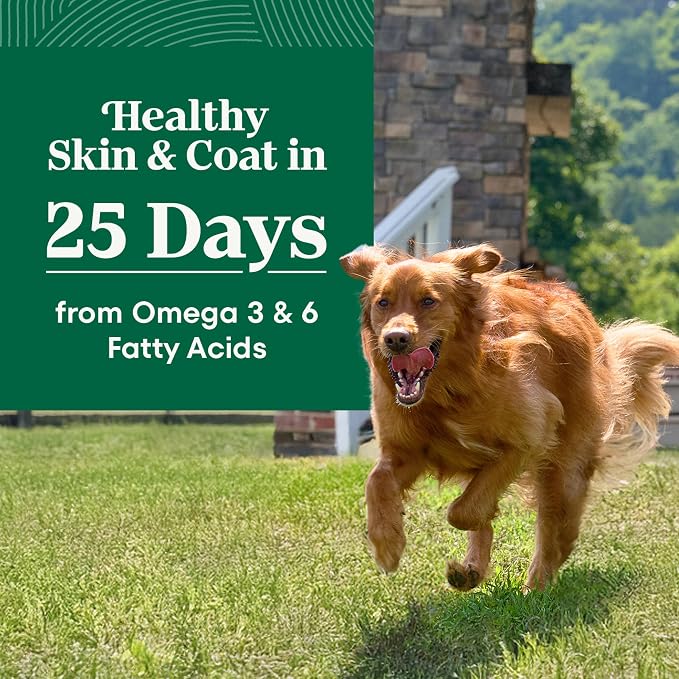 Nutro Natural Choice Large Breed Adult Dry Dog Food, Chicken & Rice, 30 lb | Real chicken #1 ingredient, non-GMO, made in USA, no corn, wheat, soy, supports joints, digestion, immunity, skin & coat