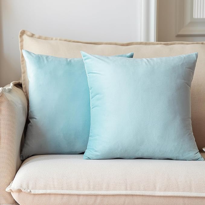 NiNi ALL Babyblue Velvet Throw Pillow Covers 20x20 Pack of 2 Decorative | Soft Solid Boho Cushion Squar Pillow Cases for Chair Sofa Bedroom Farmhouse Living room Modern Luxury Home Decor Christmas