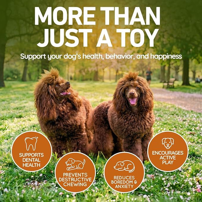 Wildfang® Rubber Dog Toys for Aggressive Chewers, Winnie - Natural Rubber Dog Toy Throw Pumpkin, Supports Dental Health, Teething, Outdoor & Indoor Play Dog Toy for All Breeds