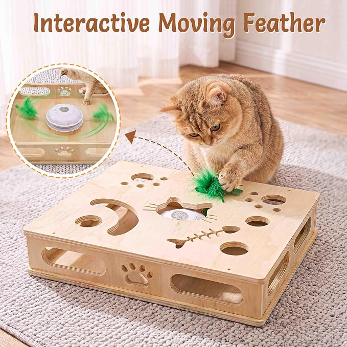 Interactive Cat Toys with Cat Puzzle Box, Cat Puzzle Toys, Kitten Toy