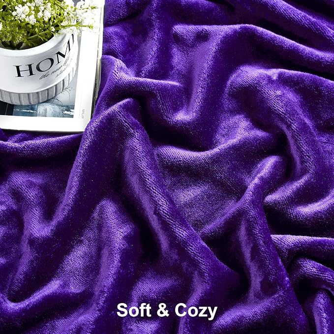DREAMNINE Extra Large Fleece Blanket, Soft Comfy Fluffy Bed Blankets Queen Size 90" x 90",Luxury Decorative Fuzzy Blanket for Bedroom,Big Cozy Shaggy Warm Flannel Blankets for Winter Autumn Pet,Purple