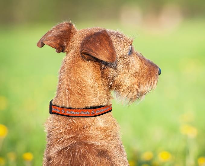MLB Baltimore Orioles Licensed PET COLLAR- Heavy-Duty, Strong, and Durable Dog Collar. Available in 29 Baseball Teams and 4 Sizes