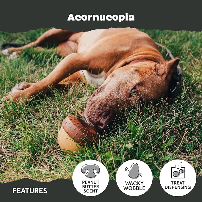 BarkBox Acornucopia Treat Dispensing Indoor/Outdoor Chewer Toy, Large