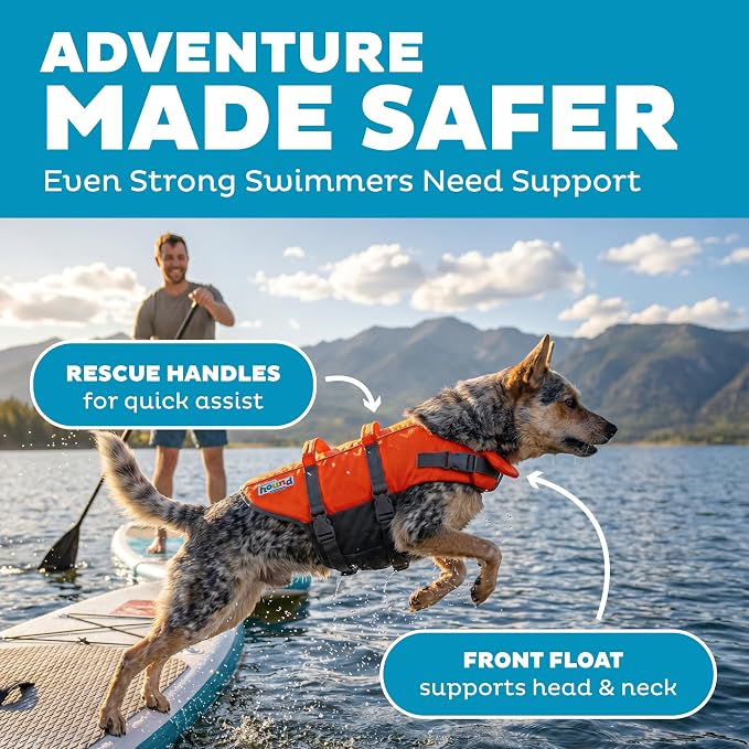 Outward Hound Granby Splash Dog Life Jacket, Life Vest, Orange, Medium | Max Buoyancy, Adjustable Fit, Head/Neck Support, Rescue Handle, Reflective, Swimming & Boating, Medium Dogs (21–27" Girth)