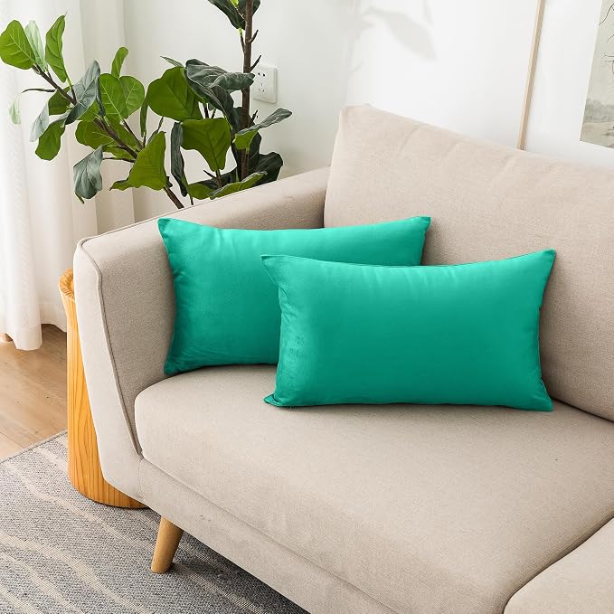 NiNi ALL Aqua Green Velvet Throw Pillow Covers 12x20 Pack of 2 Decorative | Couch Soft Solid Boho Cushion Squar Pillow Cases for Chair Sofa Bedroom Farmhouse Living room Modern Luxury Home Christmas