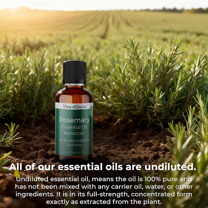 Viva Doria Rosemary Essential Oil, 100% Pure, Natural Essential Oil, Undiluted, for Aromatherapy | Food Grade, 30 mL (1 Fluid Ounce)