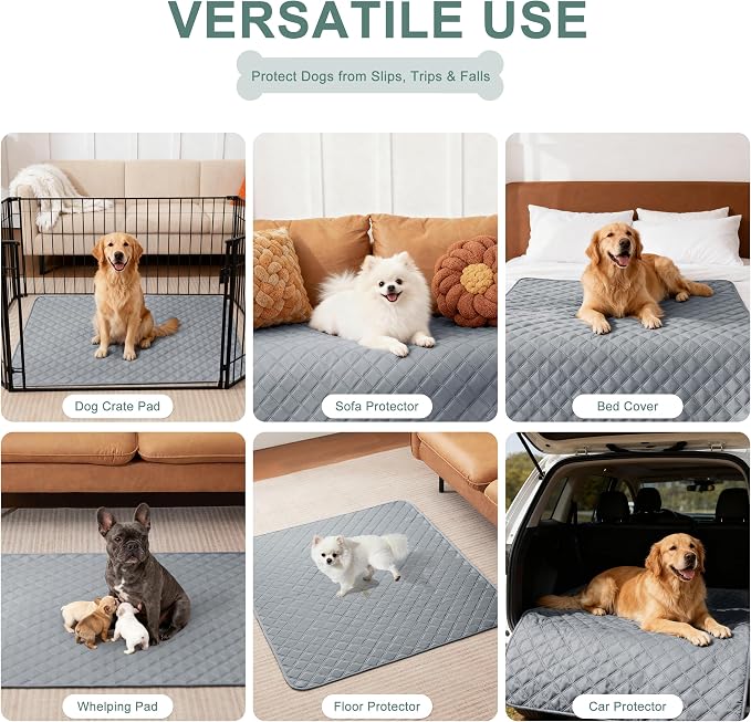Eterish Reusable Washable Pee Pads for Dogs Large/Extra Large 31'' x 36'' 2 Pack, Absorbent Pet Puppy Dog Training Pads Non-Slip, Waterproof Whelping Potty Pads for Dogs Leak-Proof