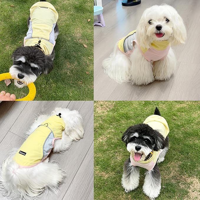 Dog Sun Protection Cooling Shirt,UPF 50+ UV Protection,Lightweight Breathable Cooling Vest, Sunblock Summer Clothes for Dogs (Cheese Yellow, XL, Pull On)