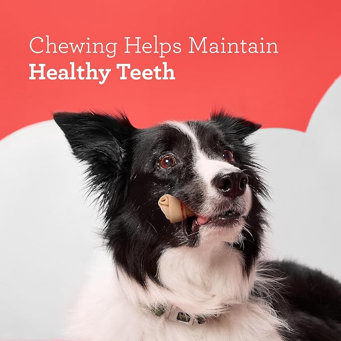 DreamBone Mini Chew, Treat Your Dog to a Chew Made with Real Meat and Vegetables | Daily Chew, Digests Safely and Completely, Made With Real Chicken and Veggies, For Adult Dogs