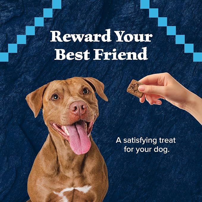 Blue Buffalo Wilderness Trail Treats Crunchy Dog Biscuits Grain-Free and High-Protein Dog Treats, Turkey Recipe 36-oz Box (Pack of 3)