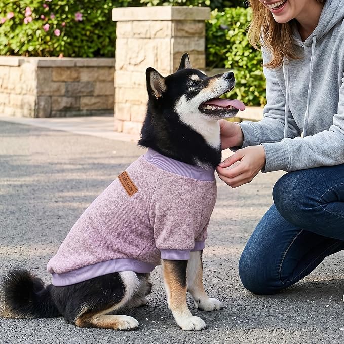 2 Pack Dog Sweaters for Small Dogs Girl Boy Winter Fleece Clothes Warm Soft Dog Sweatshirt Outfit for Dogs Cats Pet Apparel (Blue Purple+ Sweet Purple, M (Back: 13.7",Chest: 17.7", 10-14Ibs))