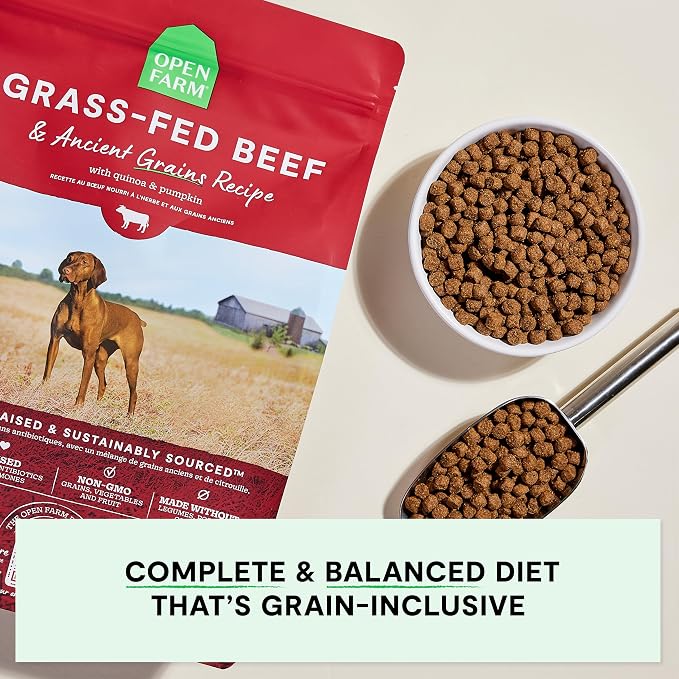 Open Farm Ancient Grains Dry Dog Food, Grass-Fed Beef Kibble, 4lb Bag | All Life Stages, All Breed Sizes, Protein-Rich & Nutrient Dense, 100% Traceable Ingredients, Non-GMO Fruits & Veggies.
