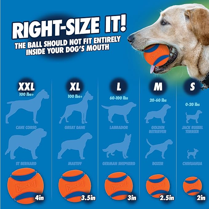 Chuckit! Dog Ball Launcher, Pro 18in, with Medium 2.5in Ball