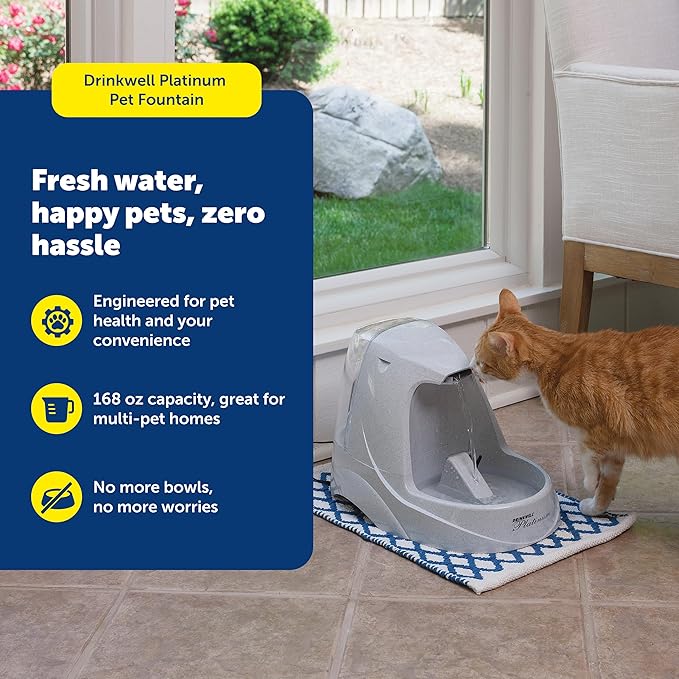 PetSafe Drinkwell Platinum Cat Water Fountain, 168 oz/5L, Grey | Free-Falling Stream Encourages Drinking, Dishwasher Safe, Large Capacity, Includes Replaceable Carbon Filter