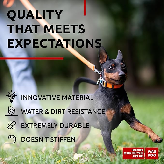 WAUDOG Waterproof Dog Collar Airtag Holder QR Tag Small Medium Large Dogs | Water and Dirt Resistant, Quick Dry QR Pet Tag Adjustable Durable Comfort for Male and Female Dogs Outdoor Walking Training