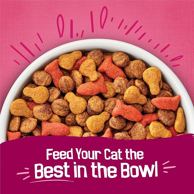 Purina Friskies Gravy Swirlers with Flavors of Chicken, Salmon and Gravy Dry Cat Food - 22 lb. Bag