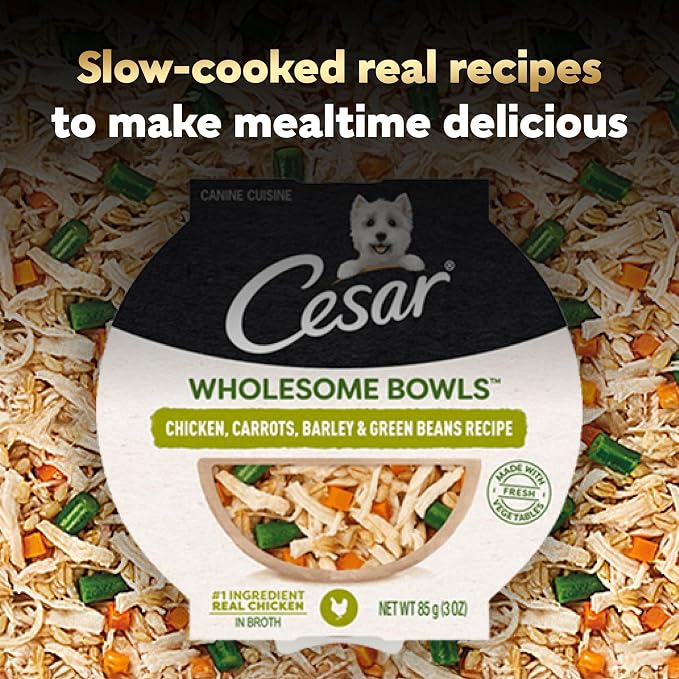 Cesar Wholesome Bowls Wet Dog Food, Chicken & Green Beans, 3 oz, 10 Count | Real chicken #1 ingredient, slow-cooked, 10 key ingredients, no by-products or artificial flavors, easy to digest