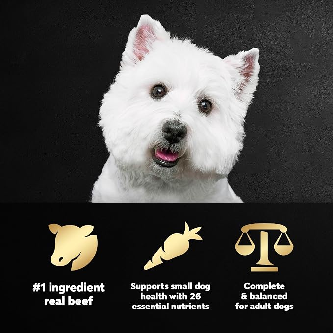 Cesar Small Breed Dry Dog Food, Filet Mignon & Spring Vegetable, 5 lb | Made in USA, Real beef #1 ingredient, 26 essential nutrients, supports small breed health, no artificial flavors
