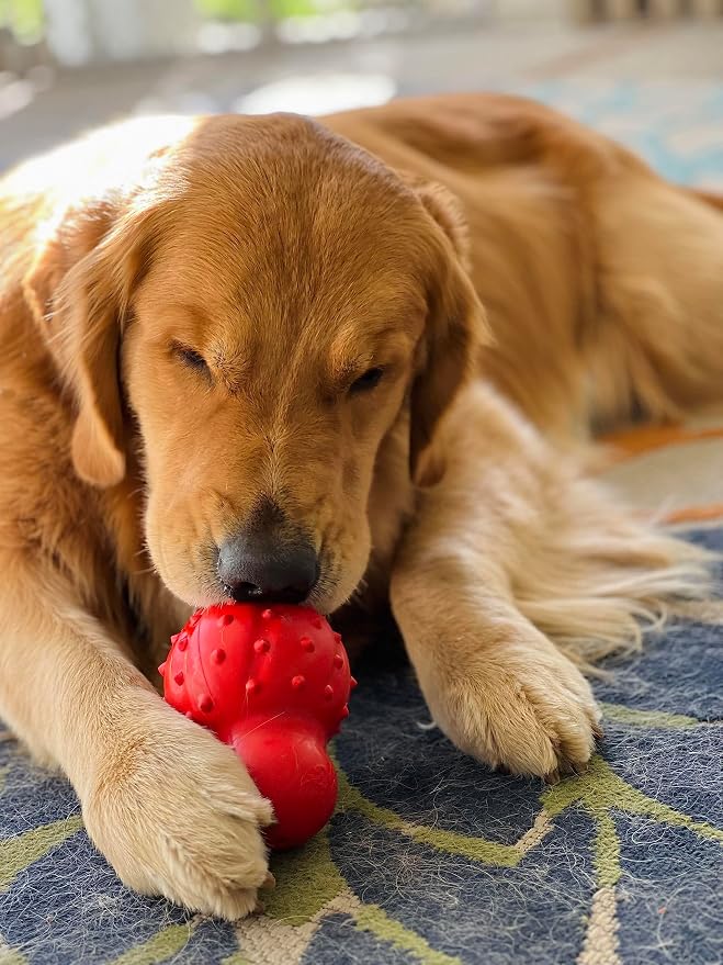 Nylabone Strong Chew Rubber Stuffable Cone Treat Toy, Bacon Flavor, Large | Durable rubber dog toys, long lasting, durable material, encourages healthy chewing, helps clean teeth, for dogs up to 50 lbs