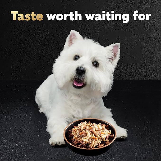 Cesar Wholesome Bowls Wet Dog Food, Beef & Green Beans, 3 oz, 10 Count | Real chicken #1 ingredient, 11 key ingredients or less, no by-products or artificial flavors, serve solo or with dry food