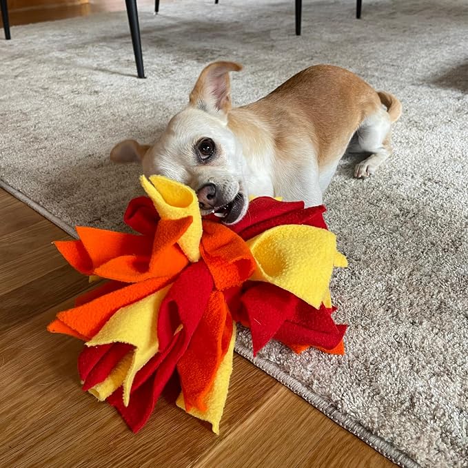Chelsy's Toys Interactive Snuffle Ball for Dogs, Mental Stimulation Toy, Slow-Play Treat Dispenser, Brain Exercise for Puppies & Seniors, Teething Relief, Blue, Orange, Purple (Orange)