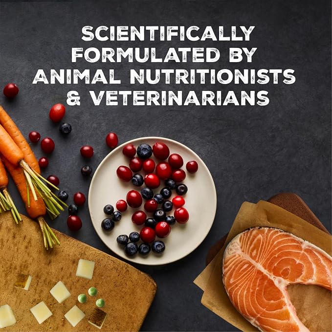 Blue Buffalo Wilderness Salmon Paté Adult Wet Cat Food, 3 oz, 24 ct | Real Salmon #1 Ingredients, High Protein & Grain-Free Recipes, Supports Energy for an Active Life