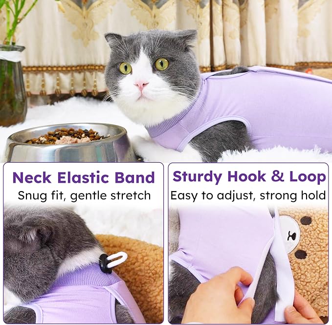 Hpetppy Cat Recovery Suit, Breathable Cat Surgery Recovery Suit Female, Cat Onesie for Cats After Surgery Spay Surgical Abdominal Wound Skin Diseases Cone of Shame Alternative Purple(M)