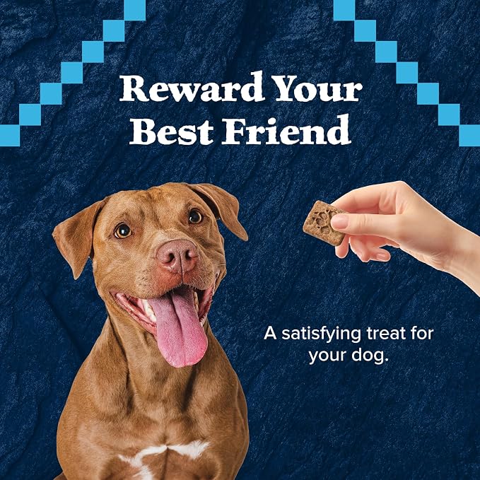Blue Buffalo Wilderness Trail Treats Duck Crunchy Dog Biscuits, 24 oz | Real Duck #1 Ingredient, High Protein & Grain-Free Dog Snacks, Great for Training, No Artificial Preservatives