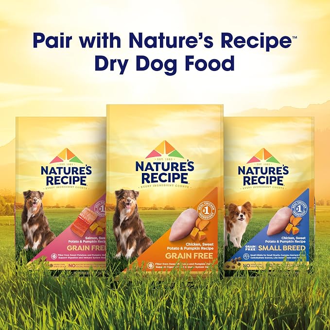Nature’s Recipe Chicken, Barley & Turkey Recipe in Savory Broth Wet Dog Food, 2.75 oz. Cup, 12 Count | 12 Pack, No Poultry By-Product Meal, Artificial Preservatives, Colors Or Flavors, And No Added Corn, Wheat Or Soy Ingredients