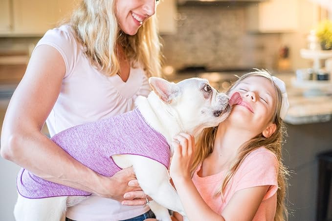 Sun Shield Dog Tee – T-Shirt for Canines – UV Protection, Pet Anxiety Relief, Wound Care – Protects Against Foxtails, Aids Alopecia - Machine Washable, All Season – Size 30 – Violet