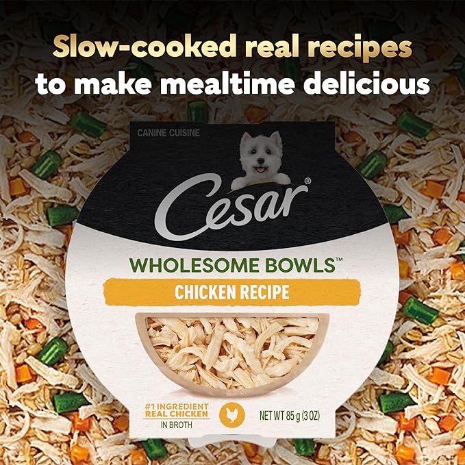 Cesar Wholesome Bowls Wet Dog Food, Chicken Recipe, 3 oz, 10 Count | Real chicken #1 ingredient, slow-cooked, 7 key ingredients, no by-products or artificial flavors, easy to digest