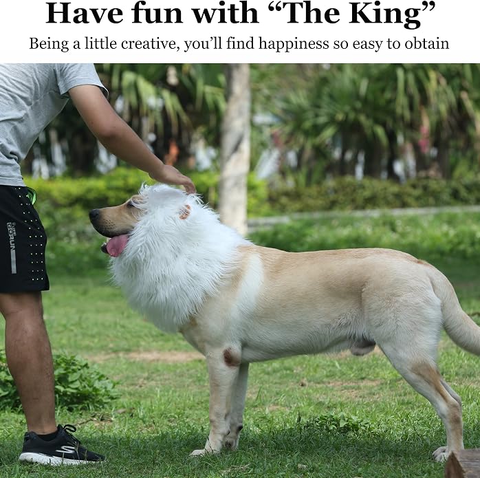 Lion Mane Wig for Dogs with Ears, Funny Pet Costumes for Halloween Christmas