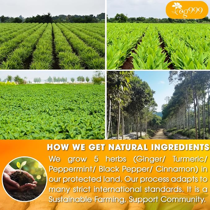 120 Tea Bags - Anti-Inflammaherb Loose Leaf Tea, 100% Natural from Ginger, Turmeric, Peppermint, Black Pepper, Cinnamon. Made with Natural Material Tea Bags. No Sugar, No Caffeine, No Gluten, Vegan.
