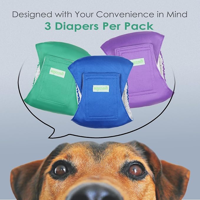 Wegreeco Washable Dog Diapers - Washable Male Dog Belly Wrap- Pack of 3 - (Blue,Green,Purple,Small)
