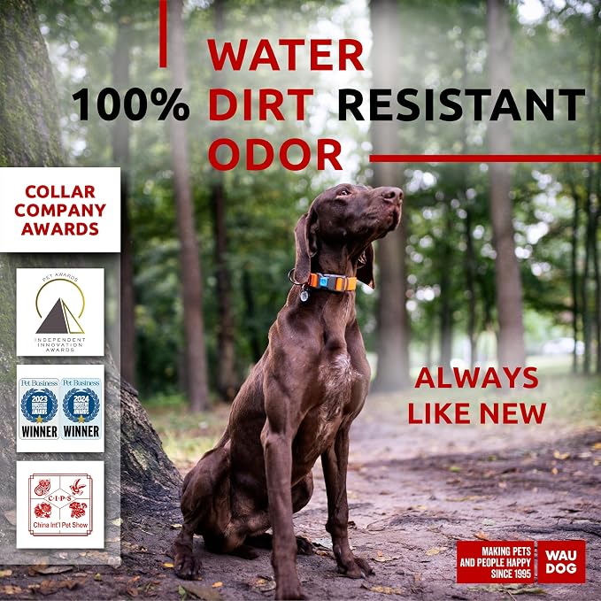 WAUDOG Waterproof Dog Collar - Adjustable Dog Collar for Large Dogs, Small and Medium Dogs - Heavy Duty Dog Collars with Durable Metal Clasp and QR Dog Tag - Boy & Girl Dog Collars | Water and Dirt Resistant, Quick Dry QR Pet Tag Adjustable Durable Com...