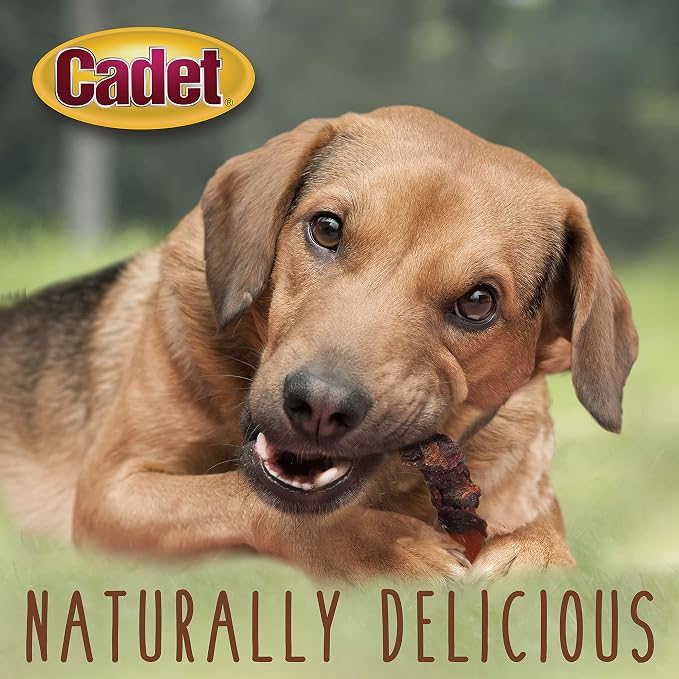 Cadet Gourmet Sweet Potato & Duck Wrapped Biscuits Dog Treats, 14 oz | Real sweet potato & duck, dog treats wraps, crunchy healthy dog treats, great for training, for small & large breeds