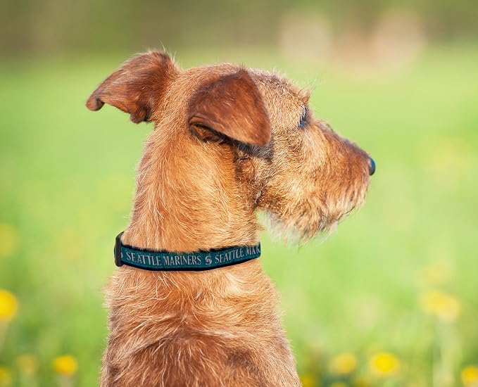MLB Seattle Mariners Licensed PET COLLAR- Heavy-Duty, Strong, and Durable Dog Collar. Available in 29 Baseball Teams and 4 Sizes