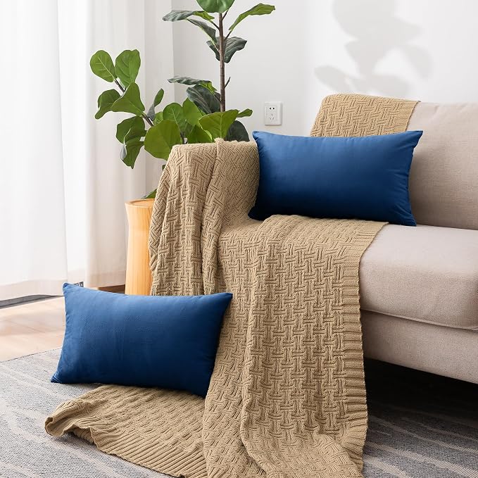 NiNi ALL Blue Velvet Throw Pillow Covers 20x30 Pack of 2 Decorative Couch | Soft Solid Boho Cushion Squar Pillow Cases for Chair Sofa Bedroom Farmhouse Living room Modern Luxury Home Decor Christmas