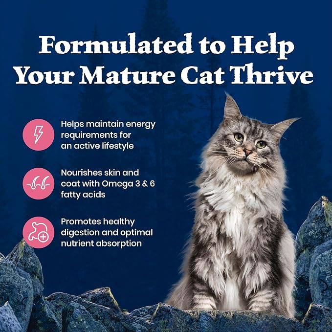 Blue Buffalo Wilderness Salmon Adult 7+ Dry Cat Food, Grain-Free, 5 lb | High Protein, Real Salmon #1 Ingredient, Supports Immunity with Antioxidant-Rich LifeSource Bits, Natural Ingredients